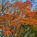 승기근린공원 이미지