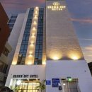 브라운도트 이미지