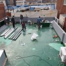 진영 태양광발전소 이미지