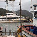 장포해상낚시2 | 거제도 선상낚시 성민호 후기: 짜릿한 손맛과 즉석 초밥까지 즐기다!