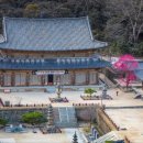 화엄사로 이미지