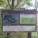 오태균음악비 | [부산 하단] 에덴 공원 - 하단역 근처 공원 산책