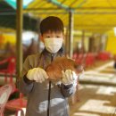 항구낚시터 이미지