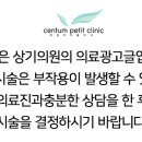센텀쁘띠의원 네이버블로그