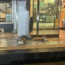 상모대서로66번길 | 블챌도전2트