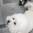 석곡리 1842 네이버블로그