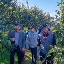 경남단감원예농협 APC 이미지