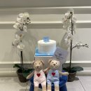 유앤메디칼 이미지