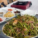 서천 맛집 서산회관 쭈꾸미 볶음 내돈내산 후기