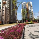 월계센트럴아이파크아파트경로당 | 월계 센트럴 아이파크 매매 후기(입주 일정에 맞춘 조율 그리고 신뢰에 대한 단상)