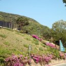 작품5(솟대) 이미지