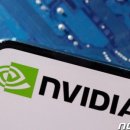 비둘기한국@ 이미지