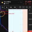 241103 포트폴리오 점검(미국 대선 D-2, 엘앤에프 개인 NDR D-1)
