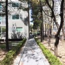 국화한신 이미지