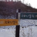 머르메가는길 이미지