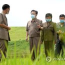 평암농장 이미지