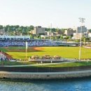 안성맞춤야구장 이미지
