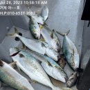 송포민박 이미지