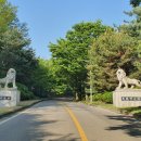 천룡컨트리클럽 이미지