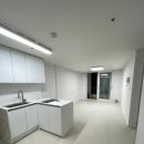 분당-95 | [재테크] 95년생 분당 구미동 내집마련 후기 (실거주 매수 고민하는 신혼부부, 사회초년생)