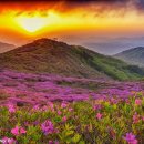 5월 1주 주간 주식시황 이미지