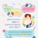 채움 동물병원 이미지