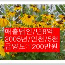 매출법인(인천 /2005년 /매출약8억)/ 법인양도 1200 /세븐엠앤에이(법인매매 법인양도양수전문컨설팅) 이미지