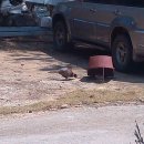 프라임펜션 이미지