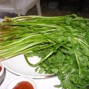 청도소싸움축제 티스토리