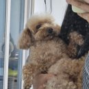 신복관 아산점 | 두근이가 태어나기 전 10월 일상:) 출산 후 돌아올게요🫶