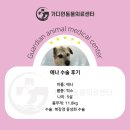 애나동물병원 이미지