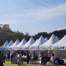 곡성심청축제장 | 2025년 곡성 어린이대축제 후기: 주차장 최고