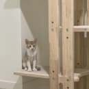 오묘화당 이미지