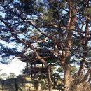 석성면사무소 이미지