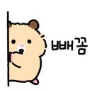 더타이피 이미지