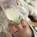 피에이치파트너스 | 힙 프레>노발락ac 분유바꾸고 만난 변비, 신생아 분유와 유산균 조합 추천(바이오가이가, 드시모네, ph365)