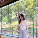 화니코스 | 제주 오설록 프리미엄 티코스 후기
