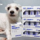 발편한동물병원 | 강아지 발사탕 피부염 또 하나의 예방 관리 방법