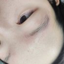 디자인 그리는