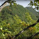 (주)시루산 Daum카페