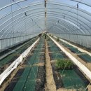 정원농장 이미지