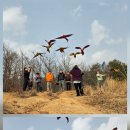 자비스 | 2026년2월22일 자유비행동호회 자비스 정모후기