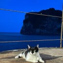 딸셋집민박 이미지