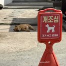 표선환승정류장 | 25년 6월 제주여행(휴애리, 해비치 밥상, 할망 밥상, 구좌 상회, 방주 할머니 식당)