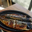 생선나라 이미지