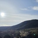 동경맑음 | 한라산은 결코 완만하지 않더라.