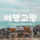 [제주골프] 골프채대여부터 골프장 부킹까지! 몸만 오시면 됩니다. 이미지