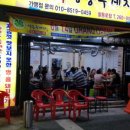 돼지영농후계자 이미지