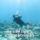 그랑블루 | 세부 스쿠버 다이빙 샵 뉴그랑블루 펀다이빙 후기