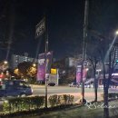 흥국체육관 | [여자배구 직관후기] 흥국생명vsGS칼텍스 @인천삼산체육관